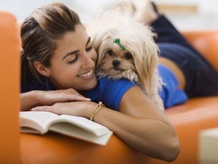 APARTHOTEL ANIMAUX DE COMPAGNIE ADMIS APARTHOTEL ANIMAUX DE COMPAGNIE ADMIS